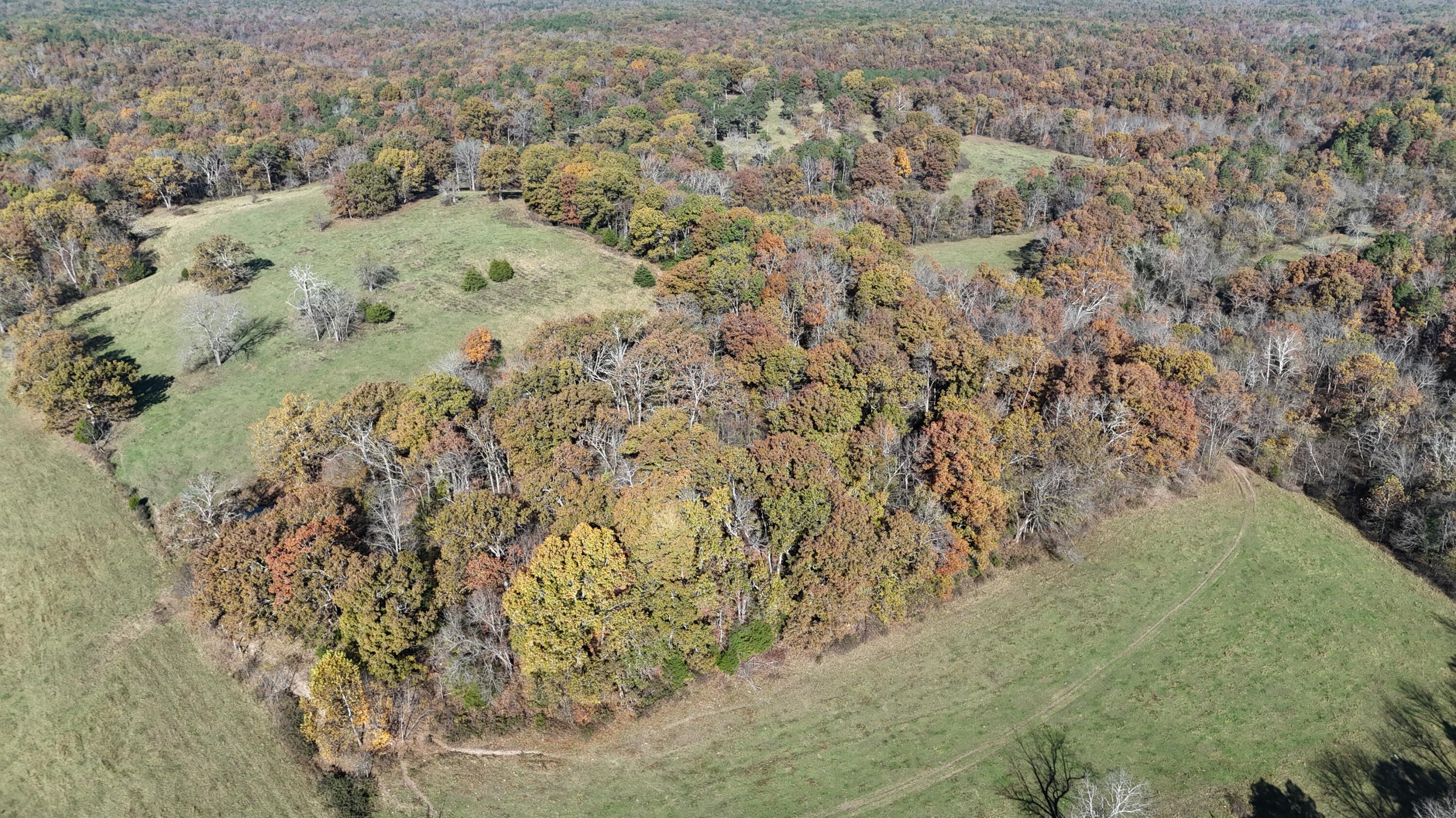 Photo 44 - Farm for sale – 205  County Road 6550   Salem, MO