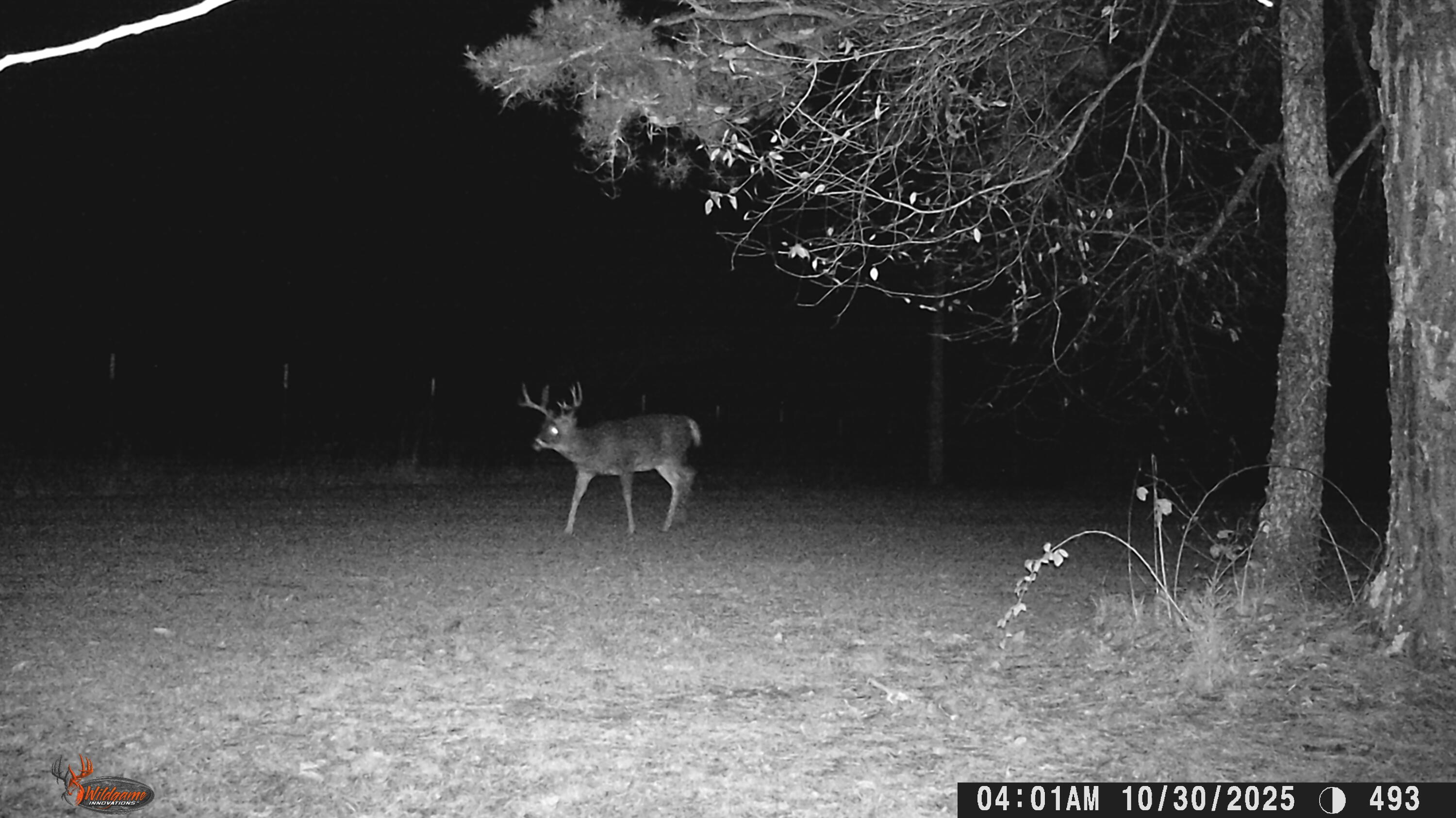 Photo 77 - Farm for sale – 205  County Road 6550   Salem, MO