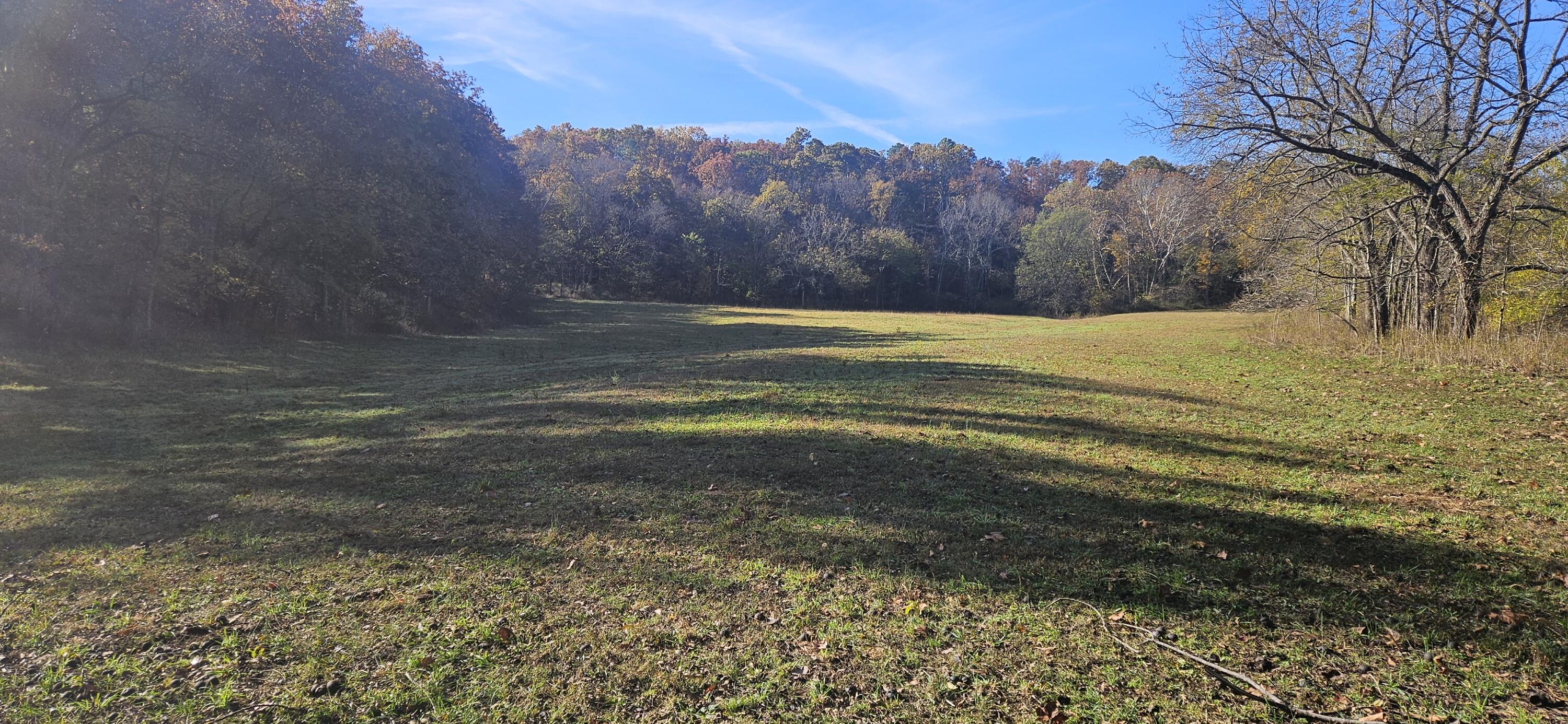 Photo 57 - Farm for sale – 205  County Road 6550   Salem, MO