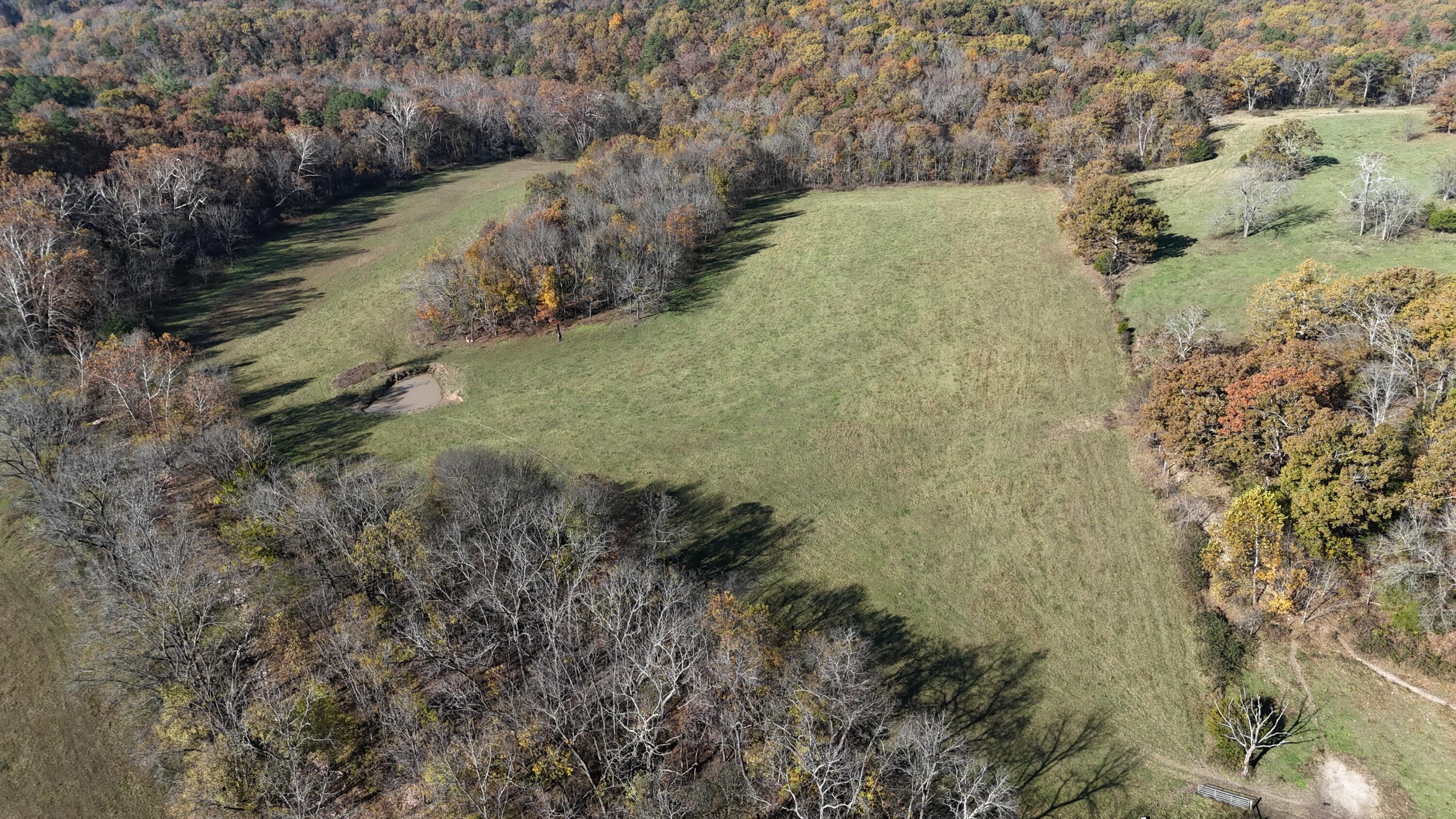 Photo 47 - Farm for sale – 205  County Road 6550   Salem, MO