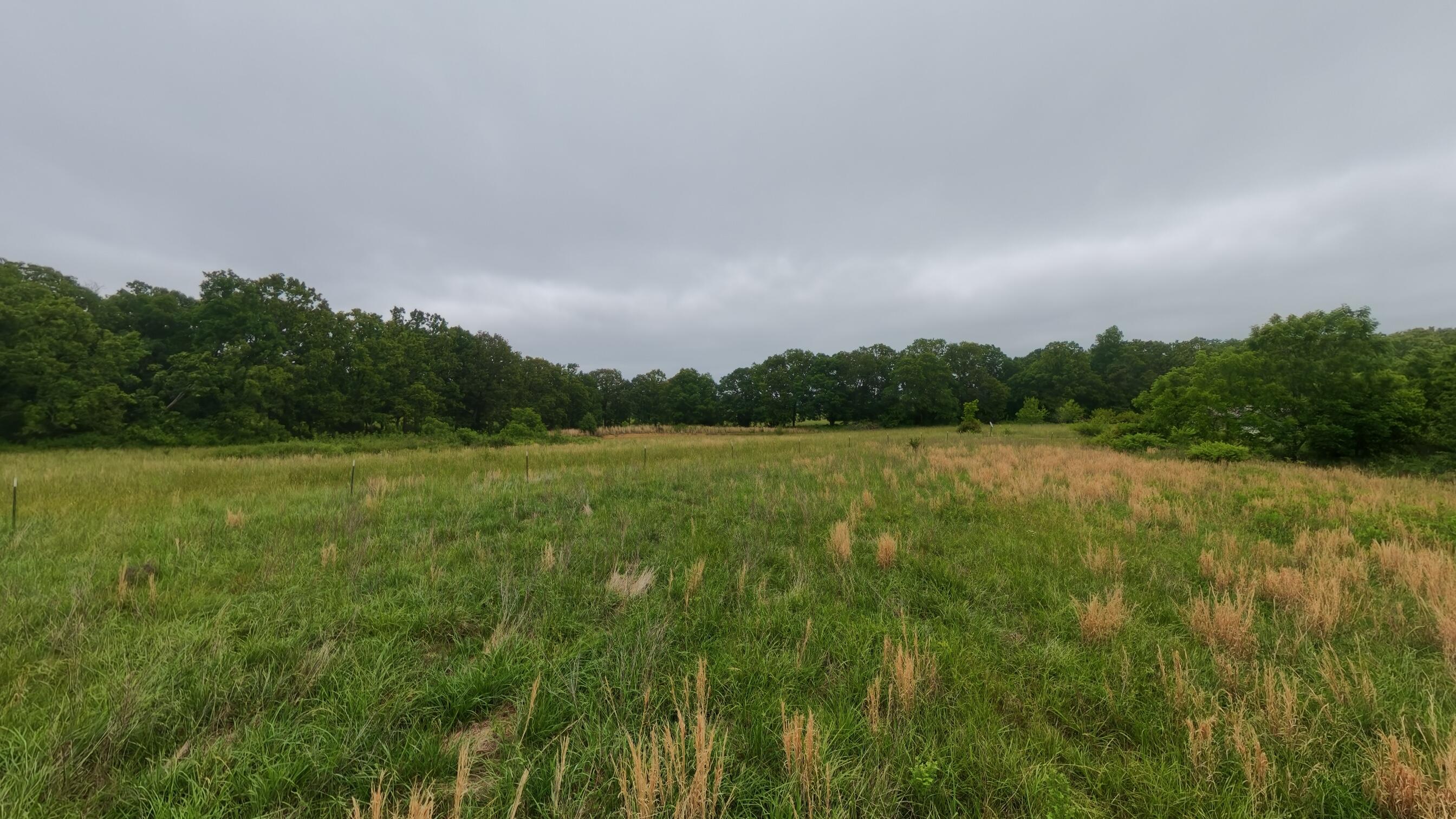 Photo 78 - Residential for sale – 5564  State Highway K   Summersville, MO