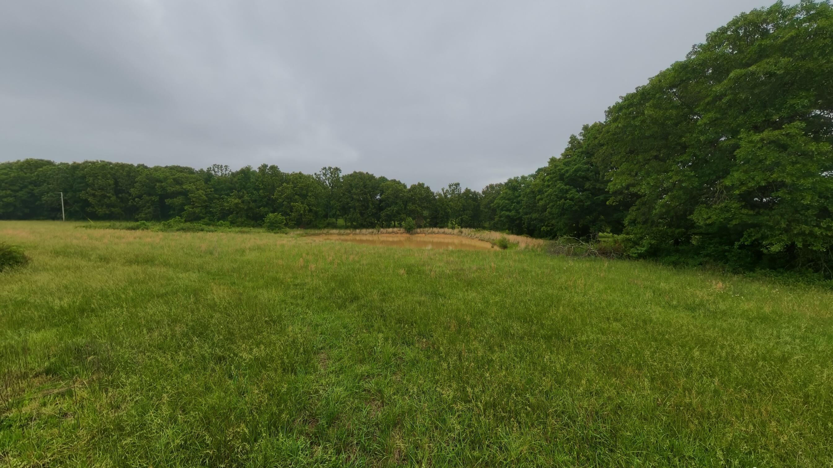 Photo 70 - Residential for sale – 5564  State Highway K   Summersville, MO
