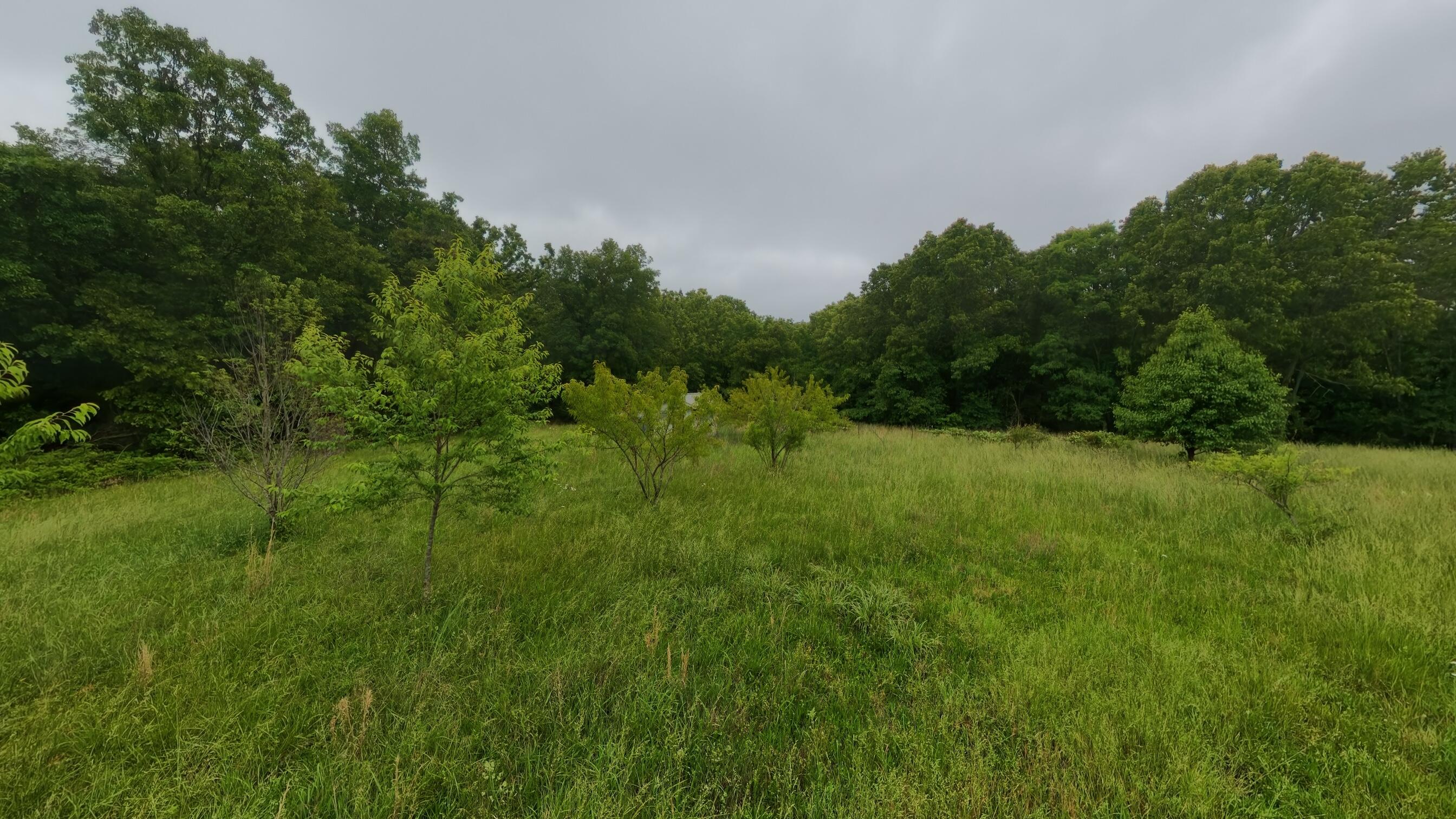 Photo 71 - Residential for sale – 5564  State Highway K   Summersville, MO