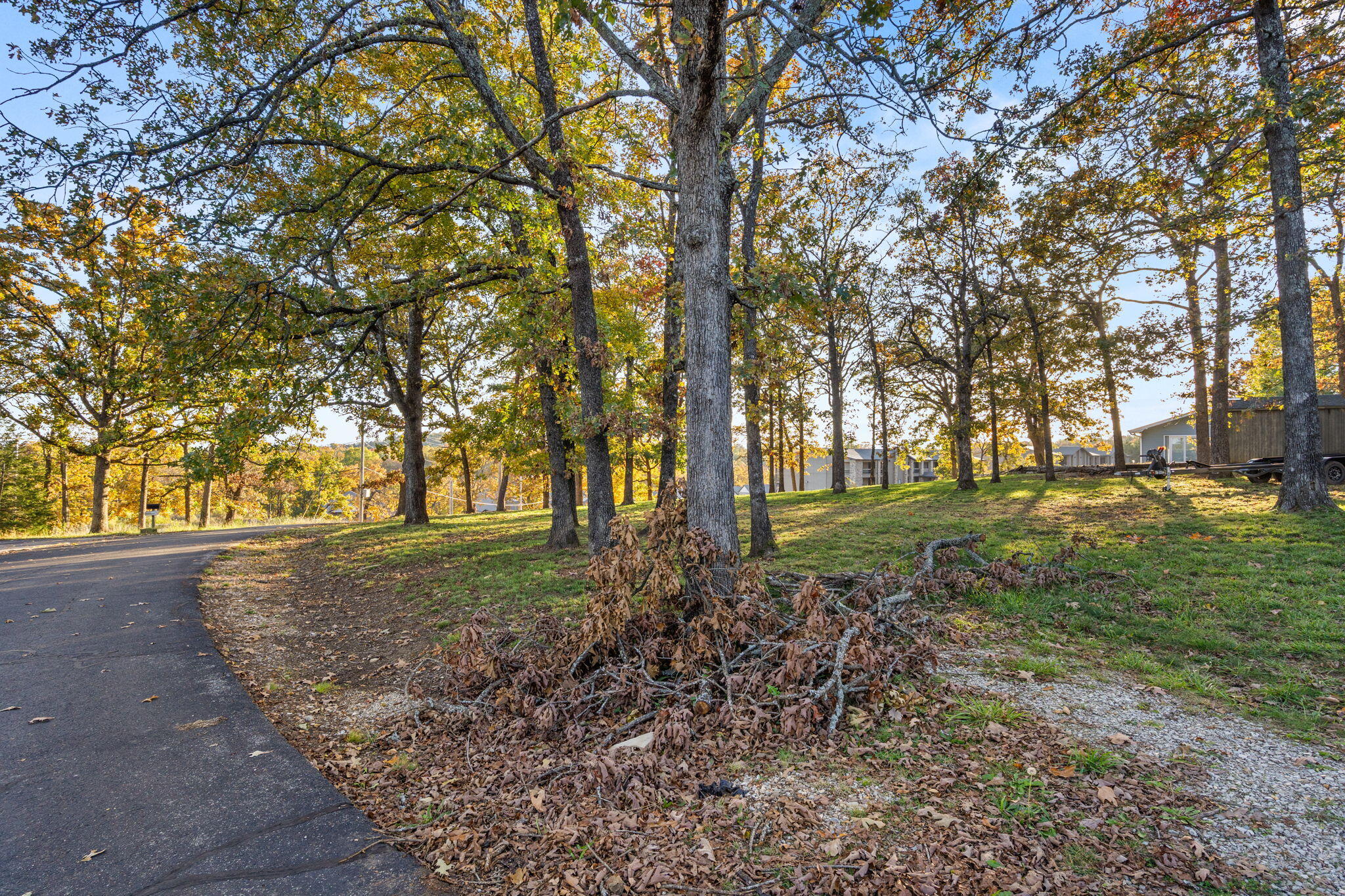 Photo 19 - Land for sale – Tbd  Locust Lane  Indian Point, MO