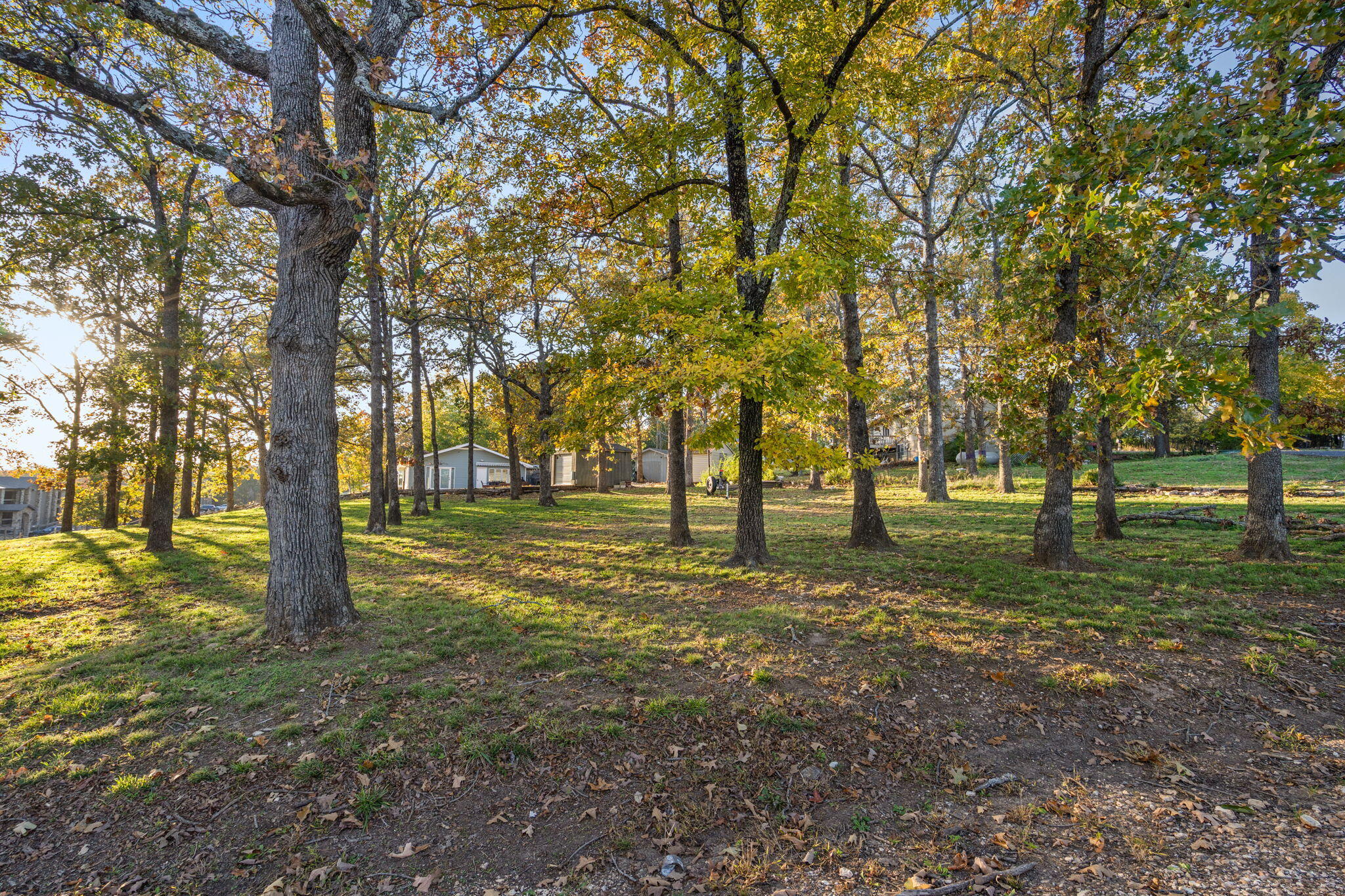 Photo 23 - Land for sale – Tbd  Locust Lane  Indian Point, MO