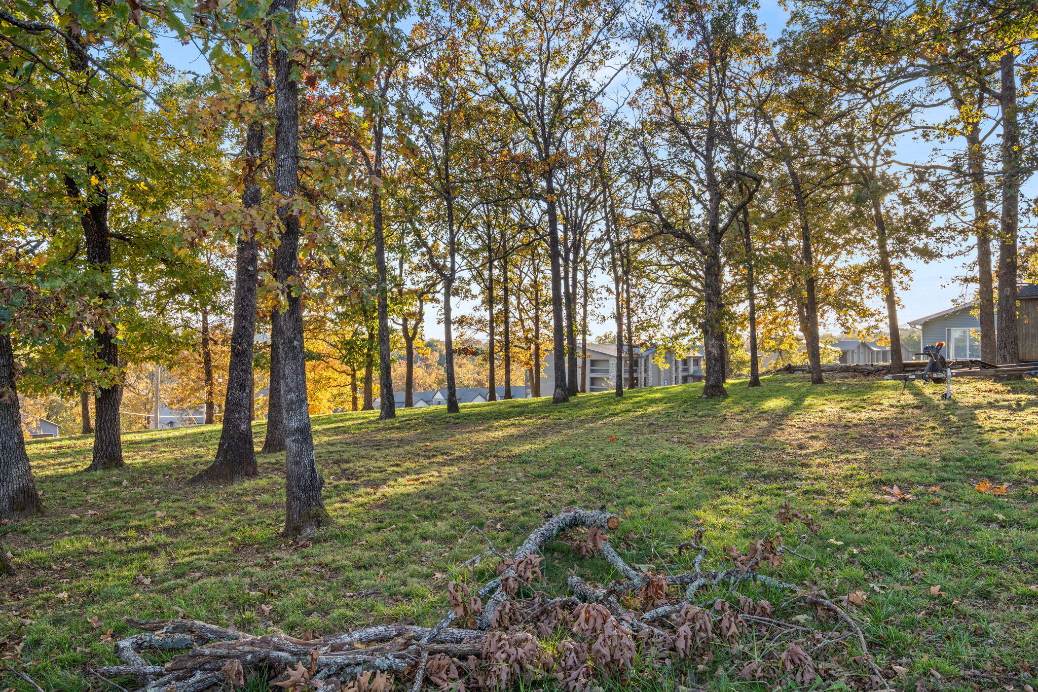Photo 17 - Land for sale – Tbd  Locust Lane  Indian Point, MO