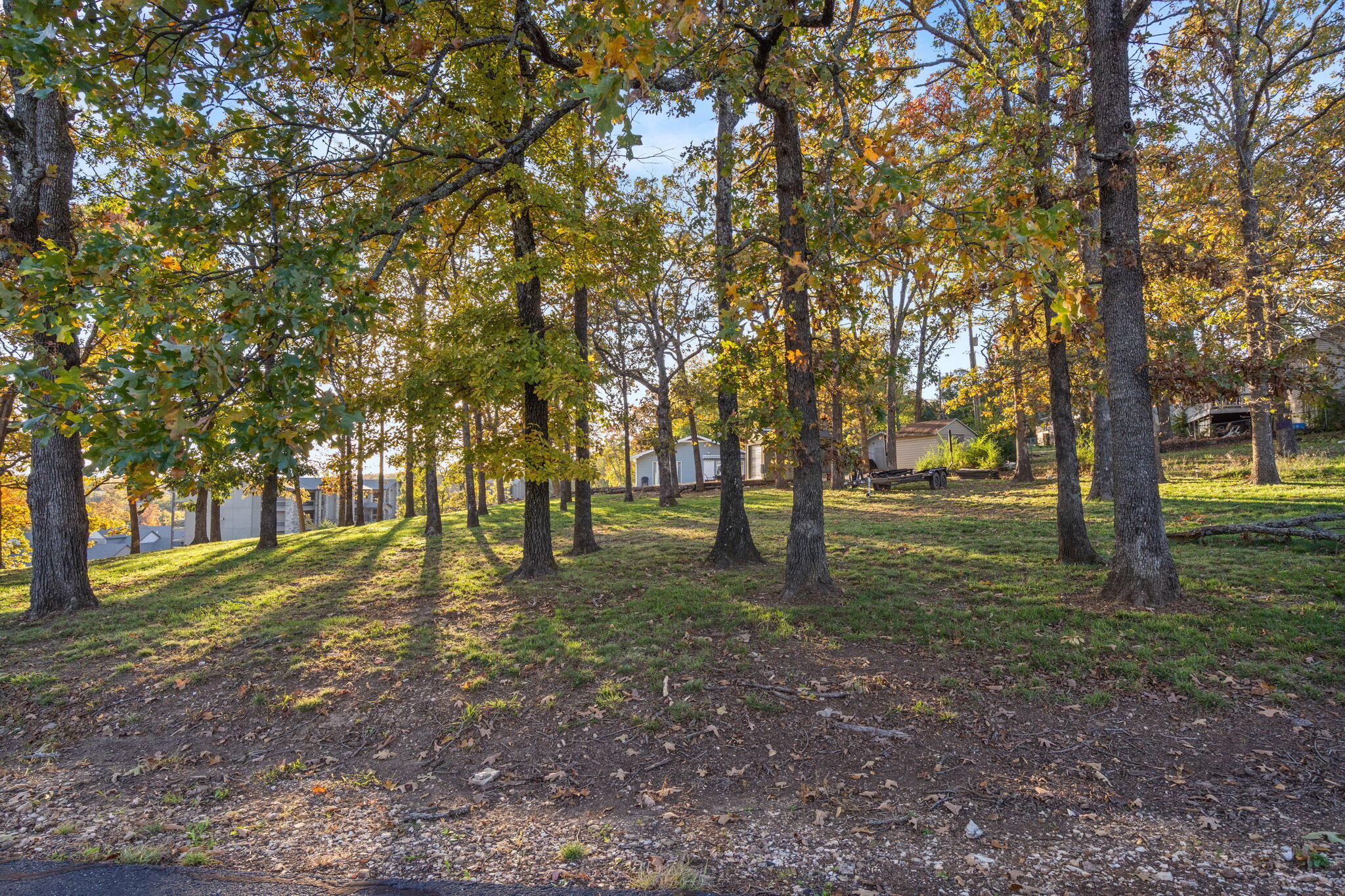 Photo 22 - Land for sale – Tbd  Locust Lane  Indian Point, MO