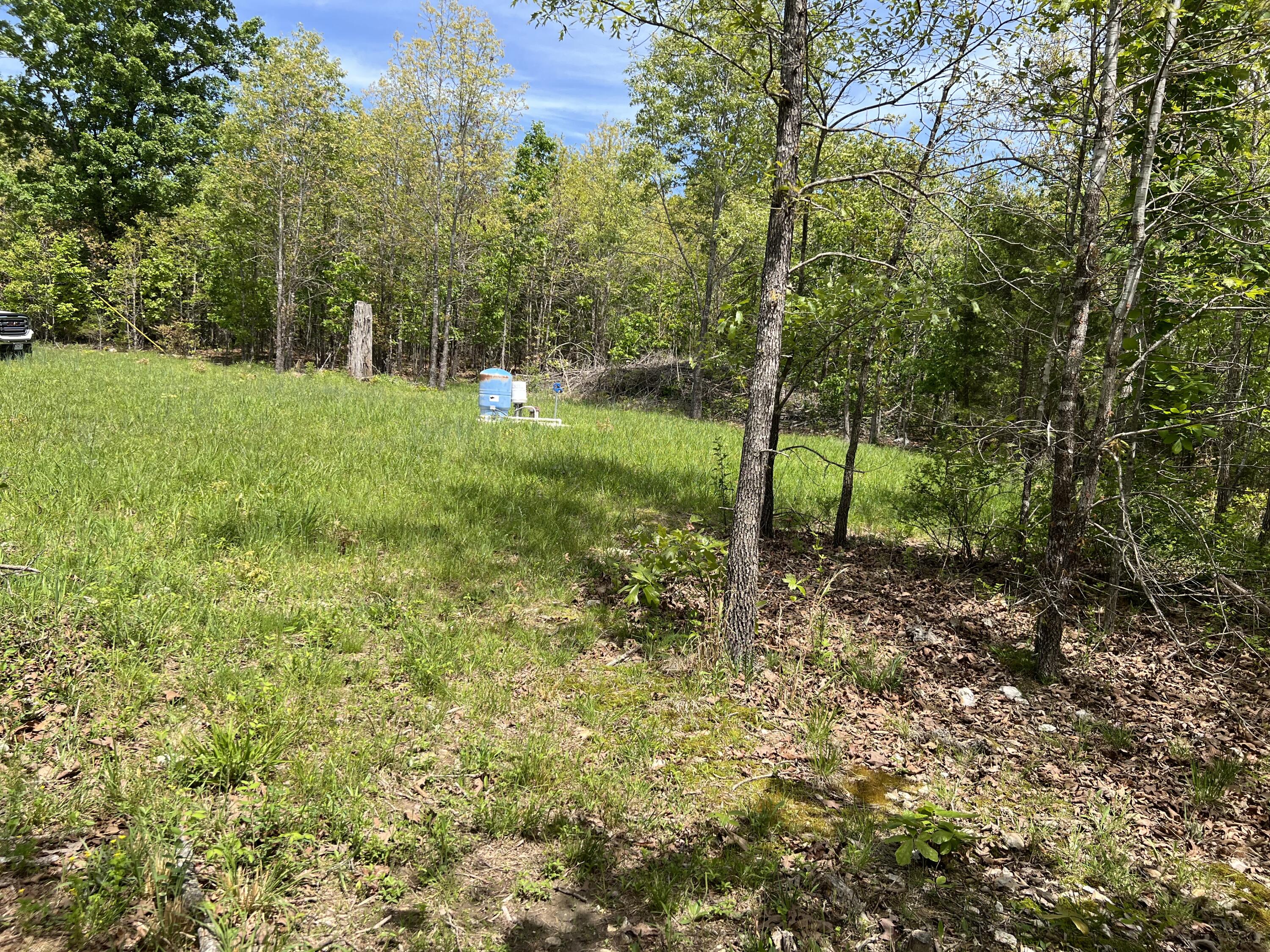 Photo 12 - Land for sale – 000  County Road P-309   Alton, MO