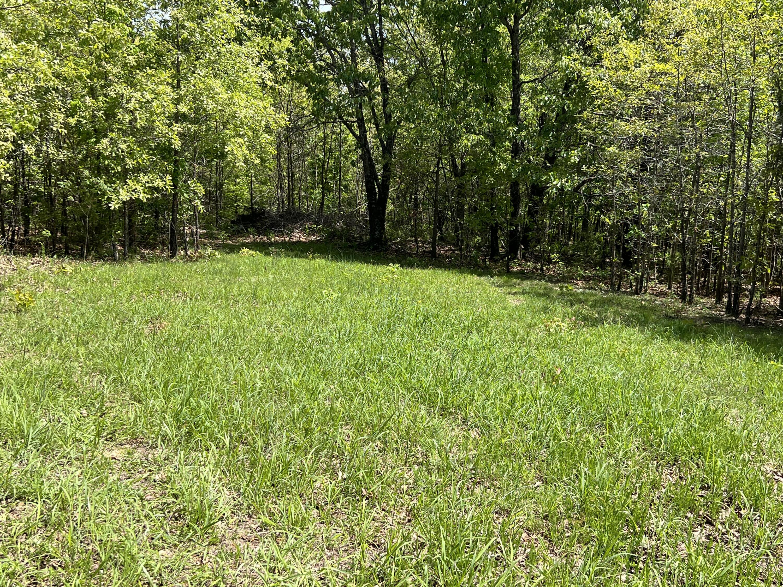 Photo 2 - Land for sale – 000  County Road P-309   Alton, MO