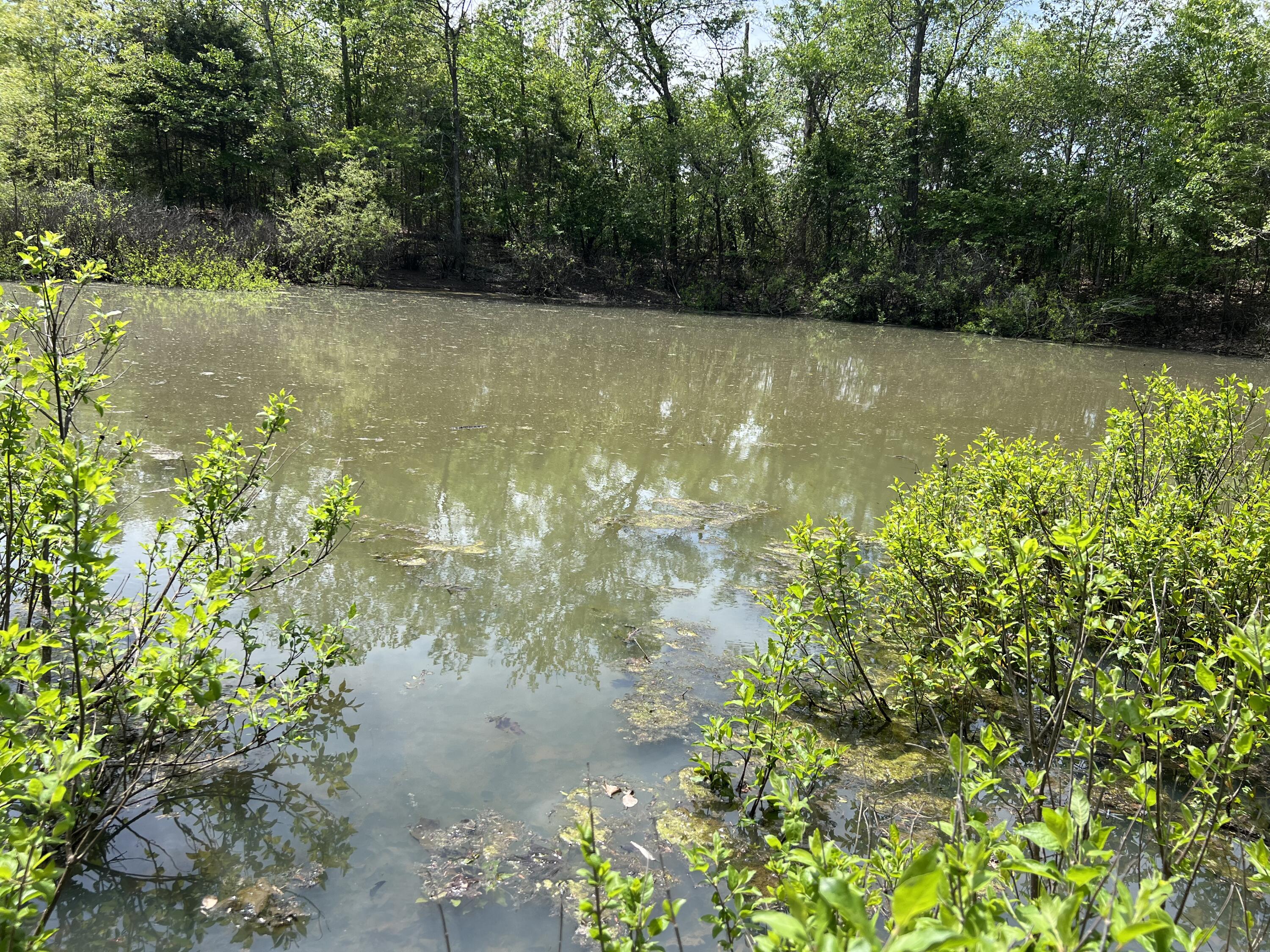 Land for sale – 000  County Road P-309   Alton, MO