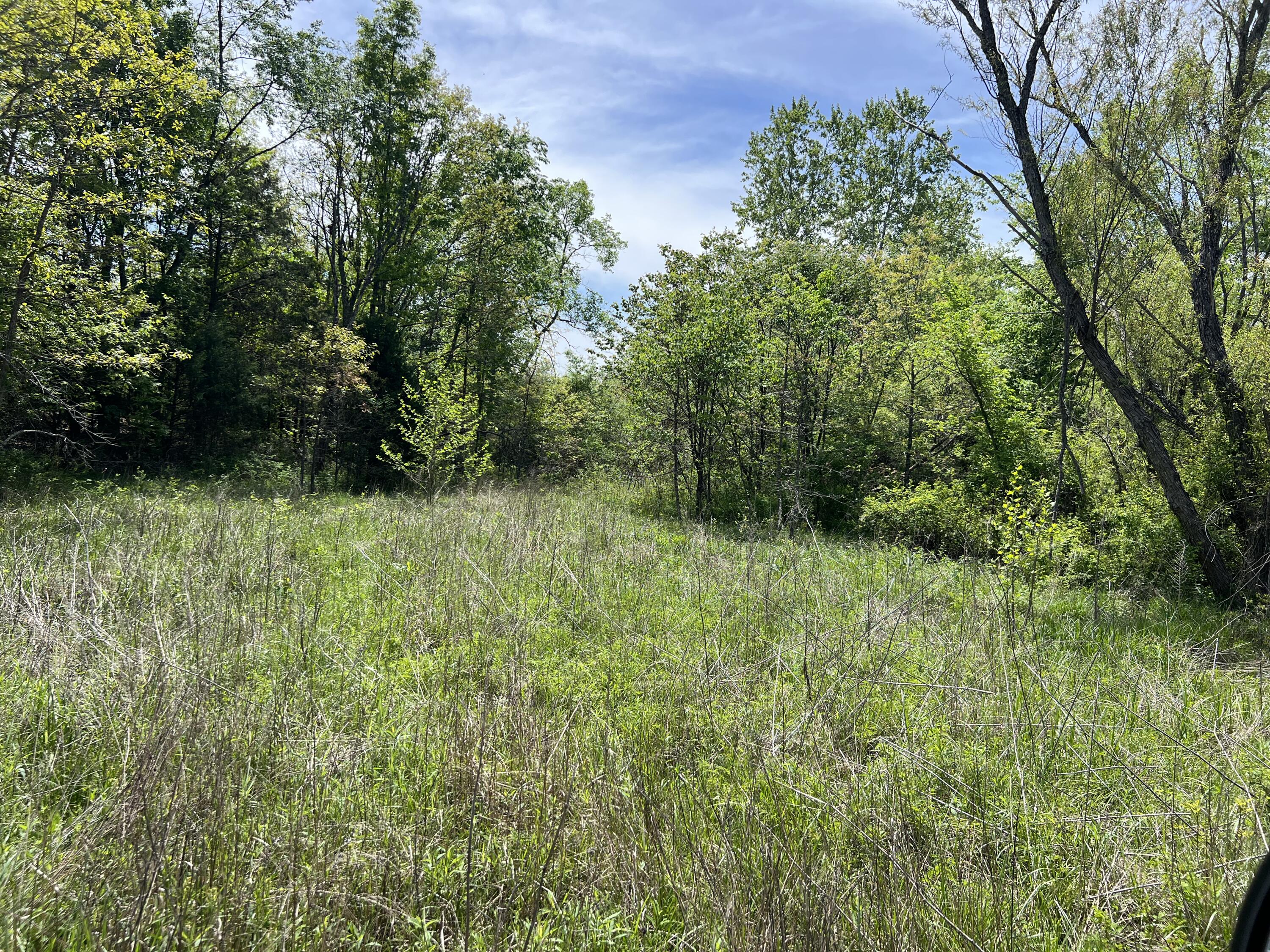 Photo 13 - Land for sale – 000  County Road P-309   Alton, MO