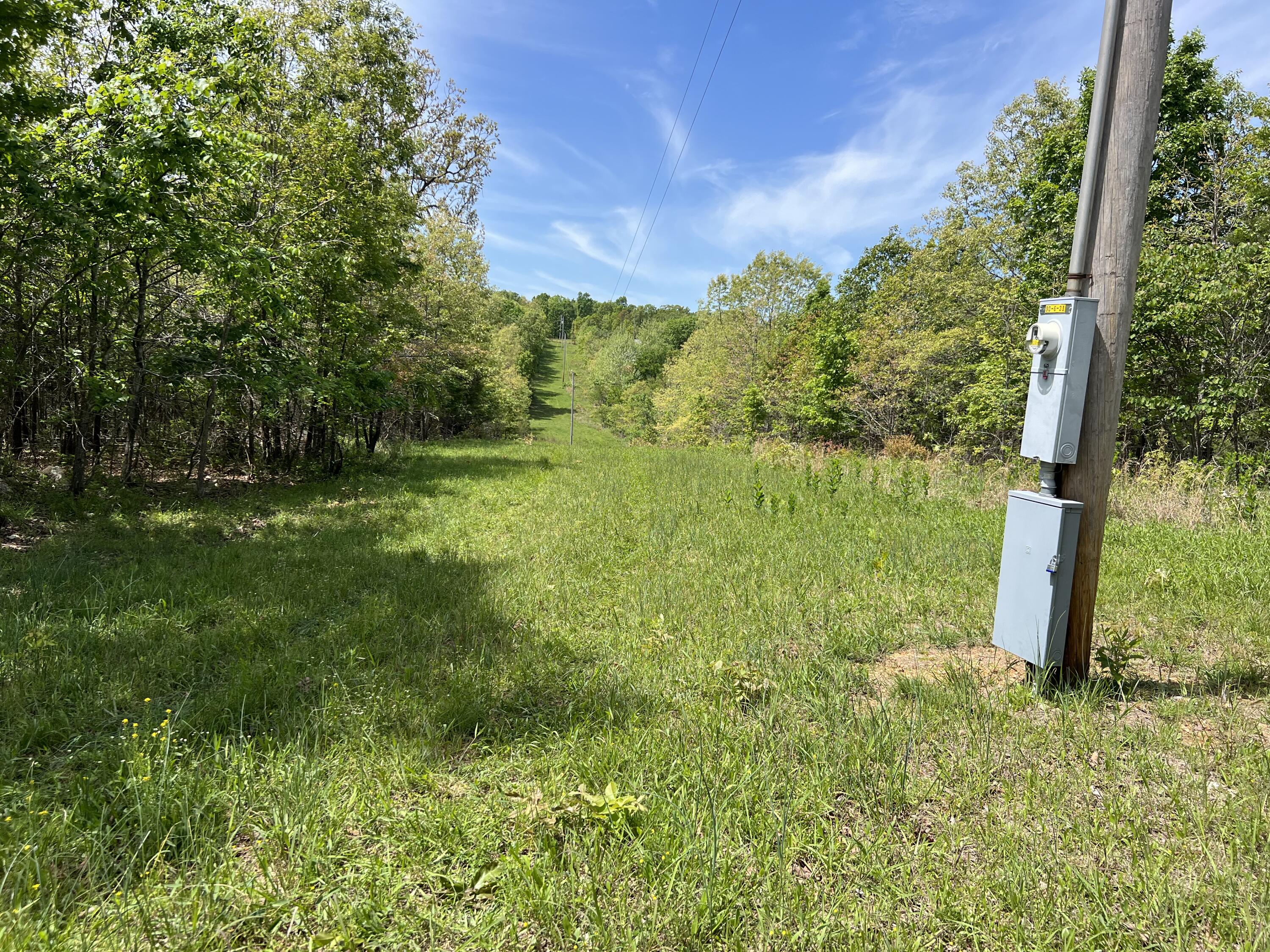 Photo 4 - Land for sale – 000  County Road P-309   Alton, MO