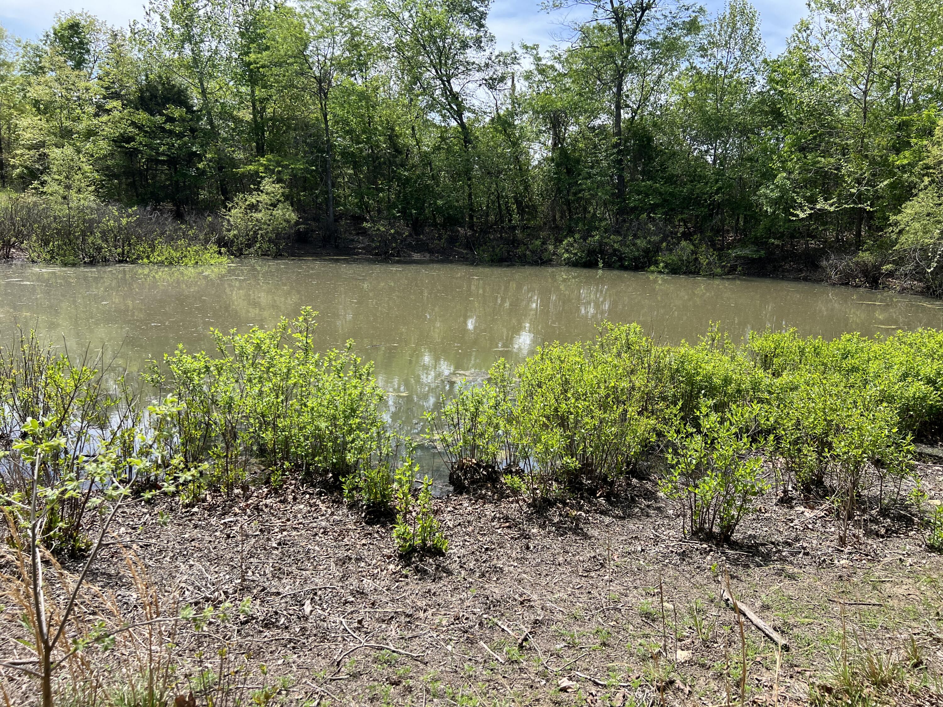 Photo 8 - Land for sale – 000  County Road P-309   Alton, MO