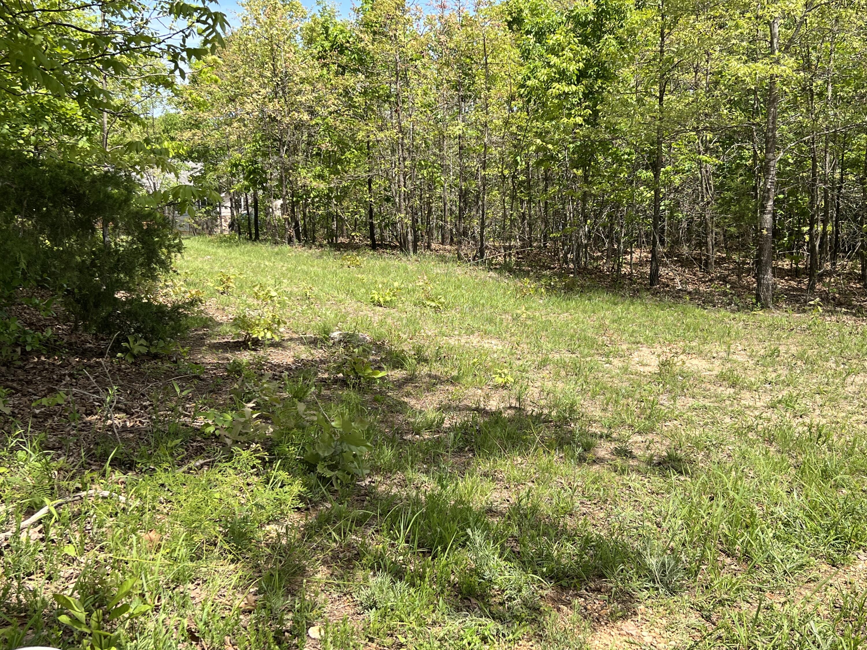 Photo 7 - Land for sale – 000  County Road P-309   Alton, MO