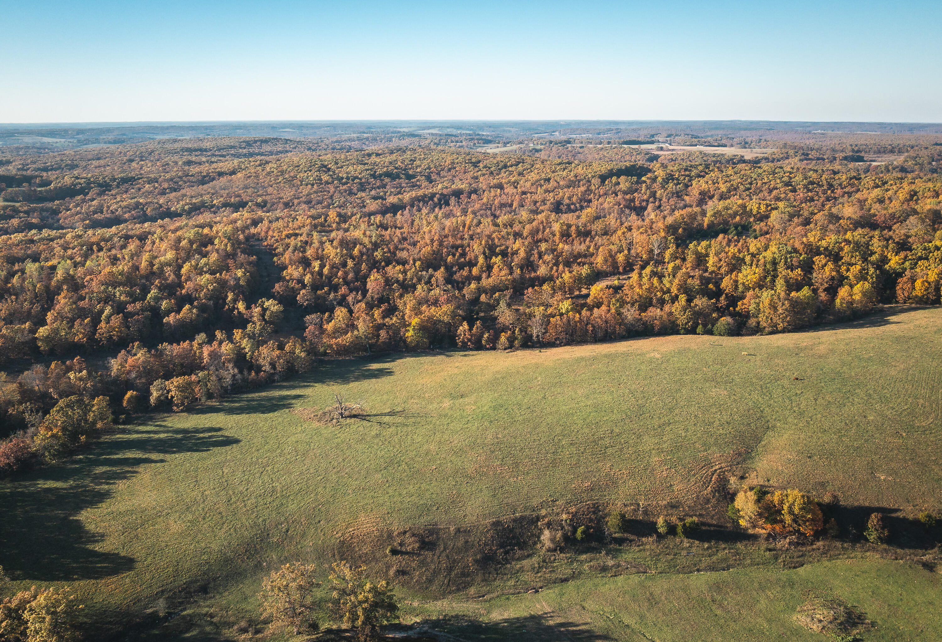Photo 47 - Farm for sale – 6601  County Line Road   Graff, MO