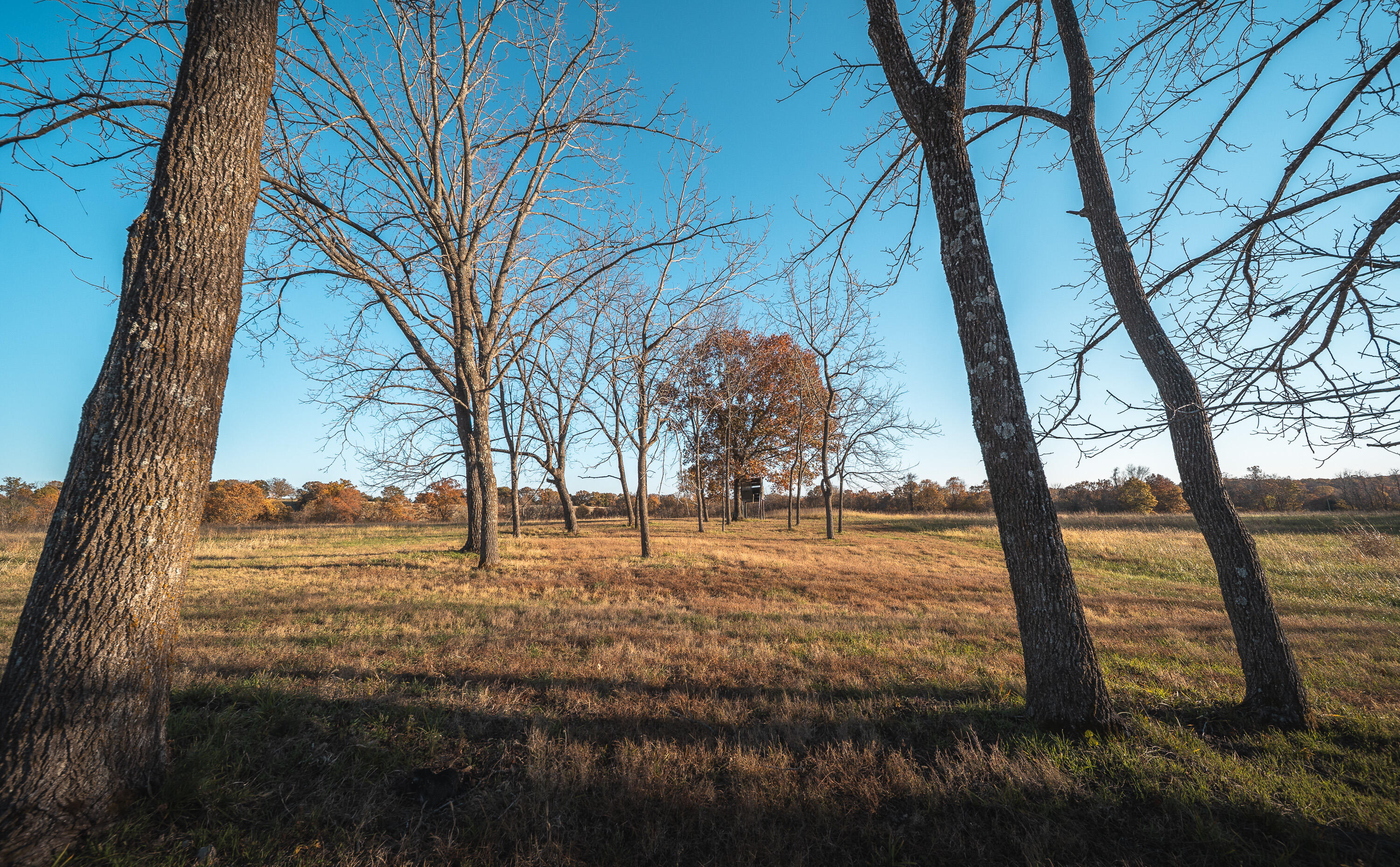 Photo 58 - Farm for sale – 6601  County Line Road   Graff, MO