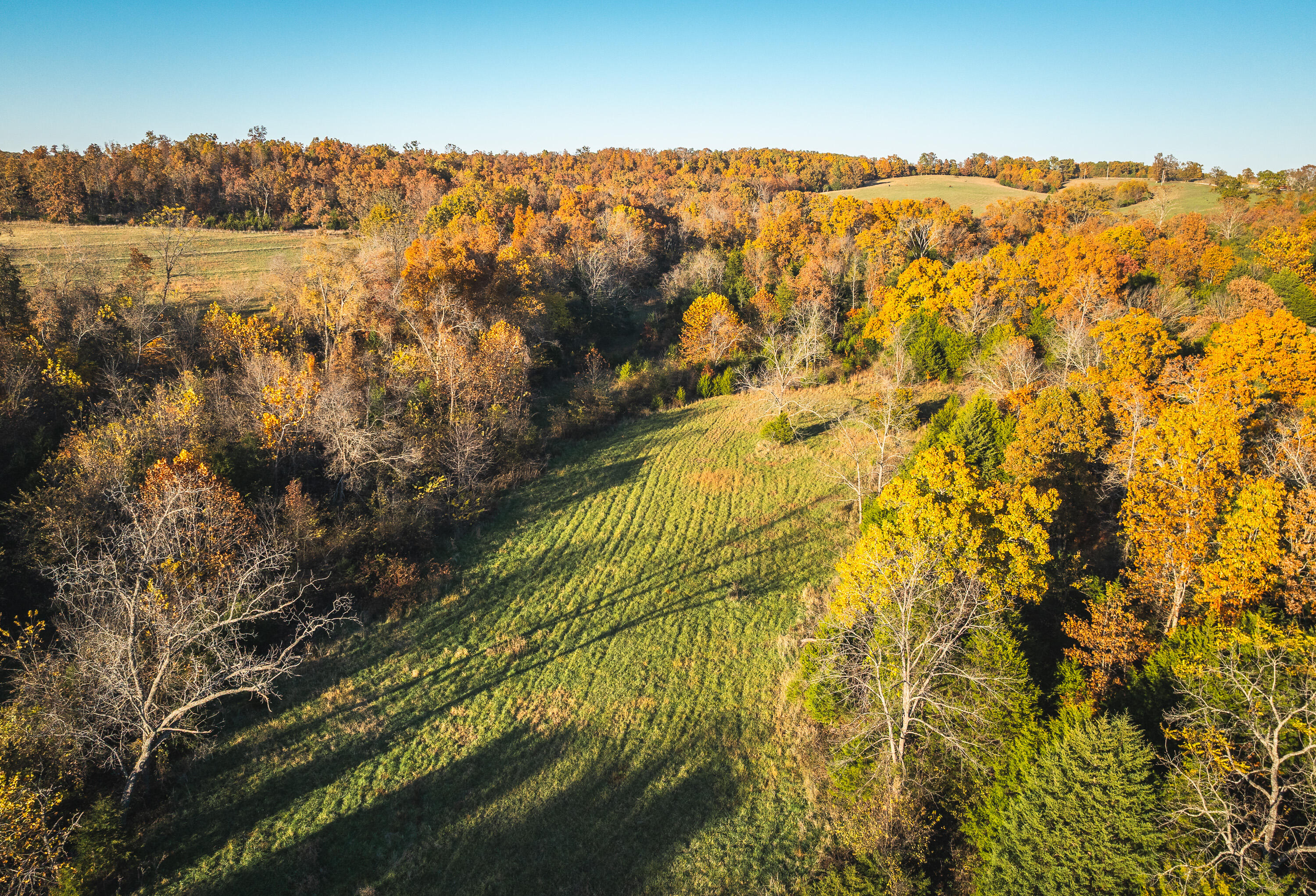 Photo 56 - Farm for sale – 6601  County Line Road   Graff, MO