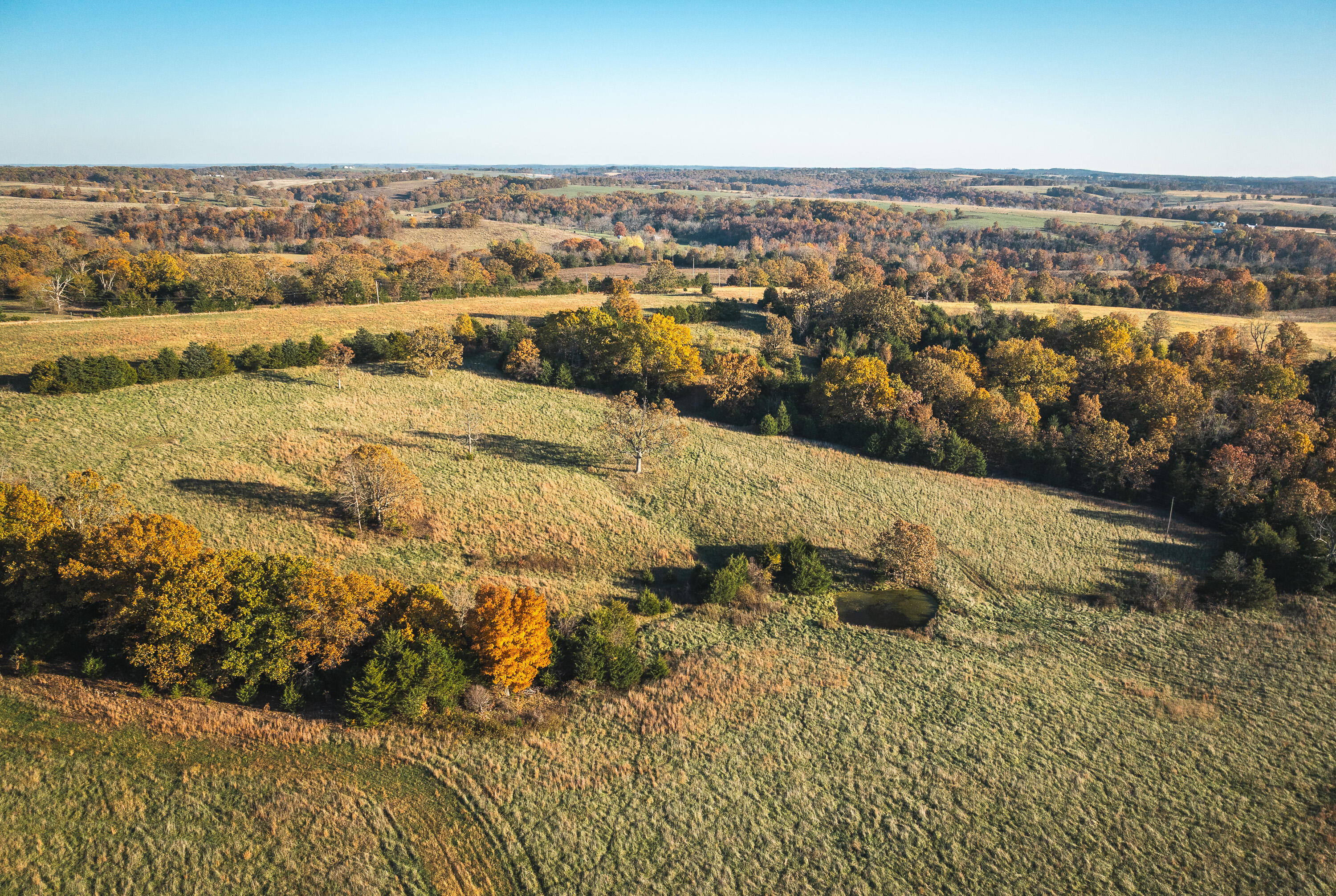 Photo 4 - Farm for sale – 6601  County Line Road   Graff, MO