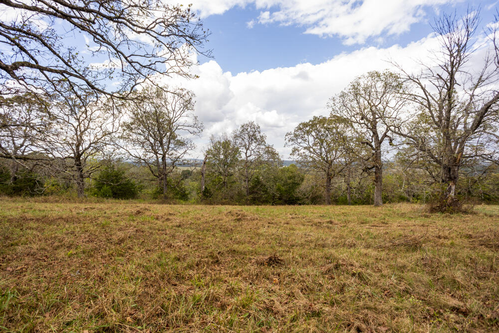 Photo 28 - Land for sale – 000  County Road 309   Gainesville, MO