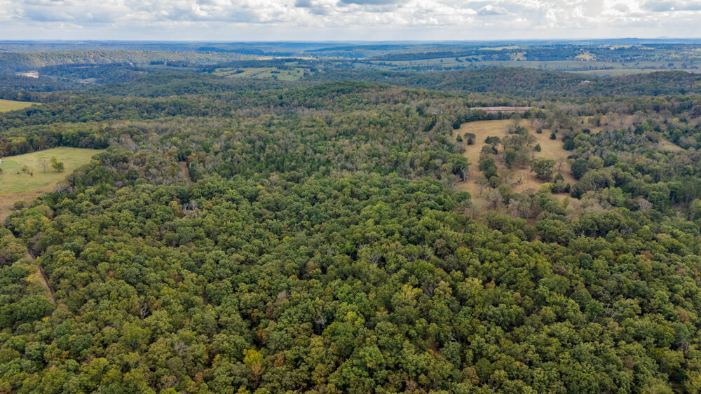 Photo 78 - Land for sale – 000  County Road 309   Gainesville, MO