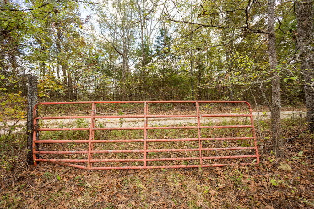 Photo 25 - Land for sale – 000  County Road 309   Gainesville, MO