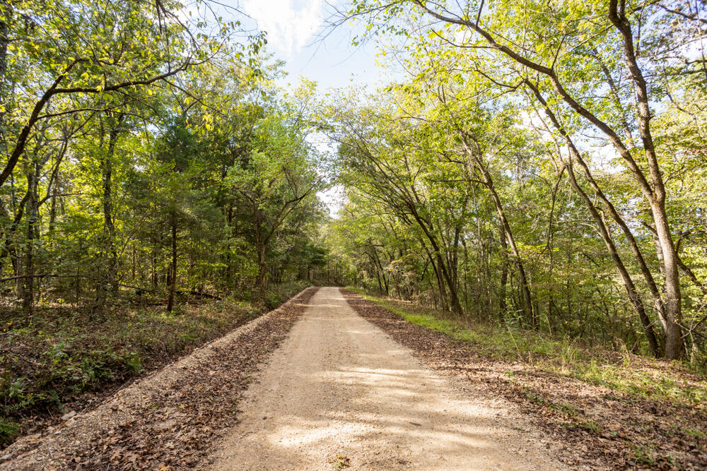 Photo 52 - Land for sale – 000  County Road 309   Gainesville, MO