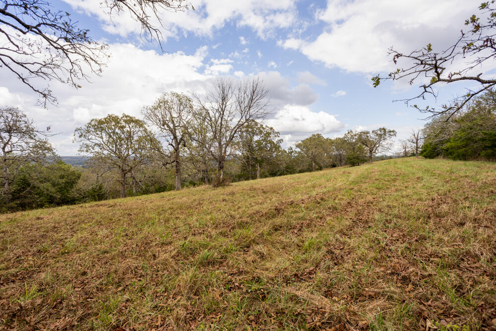 Photo 27 - Land for sale – 000  County Road 309   Gainesville, MO