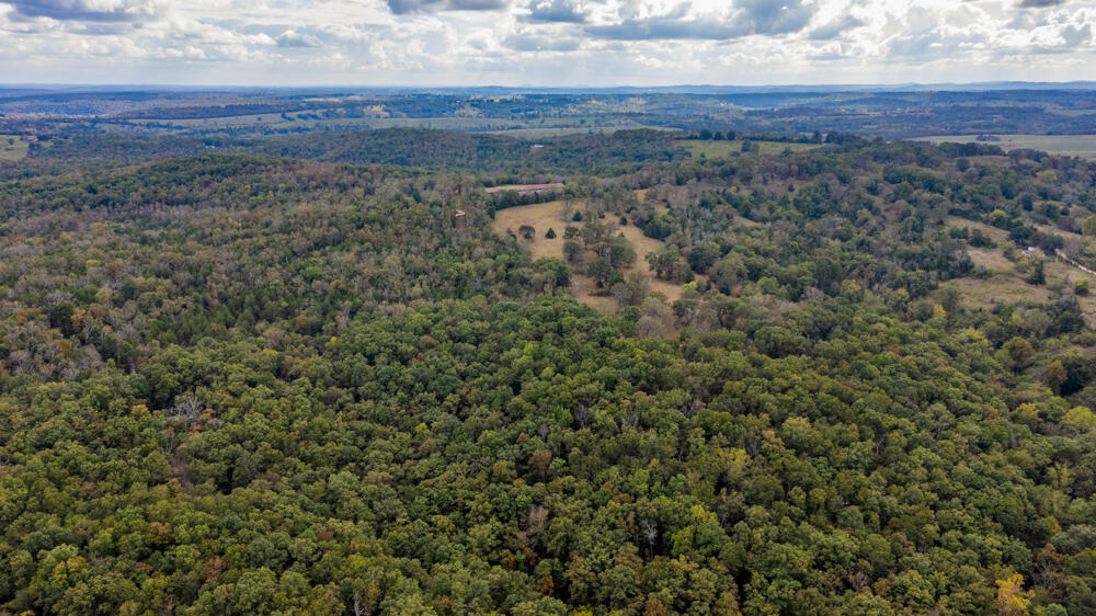 Photo 79 - Land for sale – 000  County Road 309   Gainesville, MO