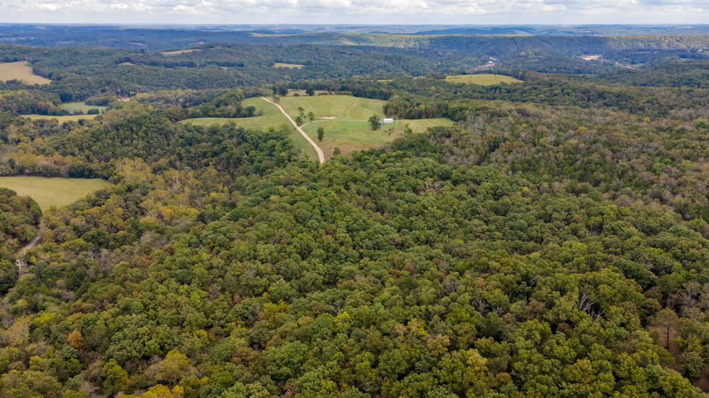 Photo 77 - Land for sale – 000  County Road 309   Gainesville, MO