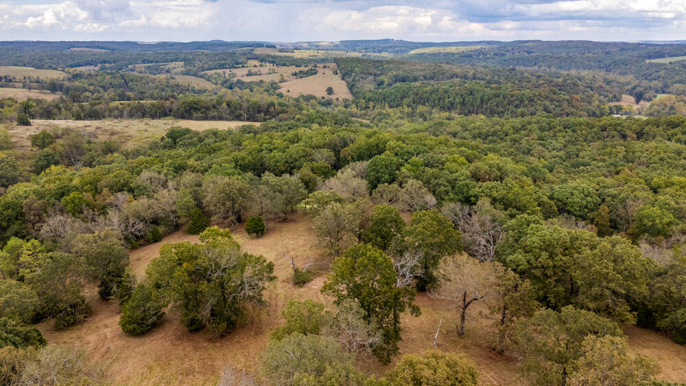 Photo 71 - Land for sale – 000  County Road 309   Gainesville, MO