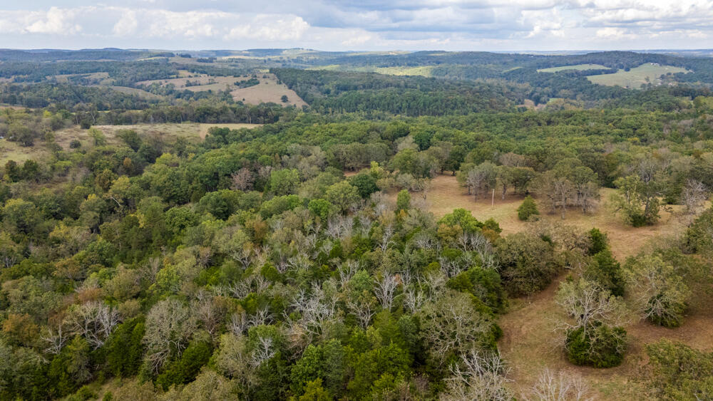 Photo 92 - Land for sale – 000  County Road 309   Gainesville, MO