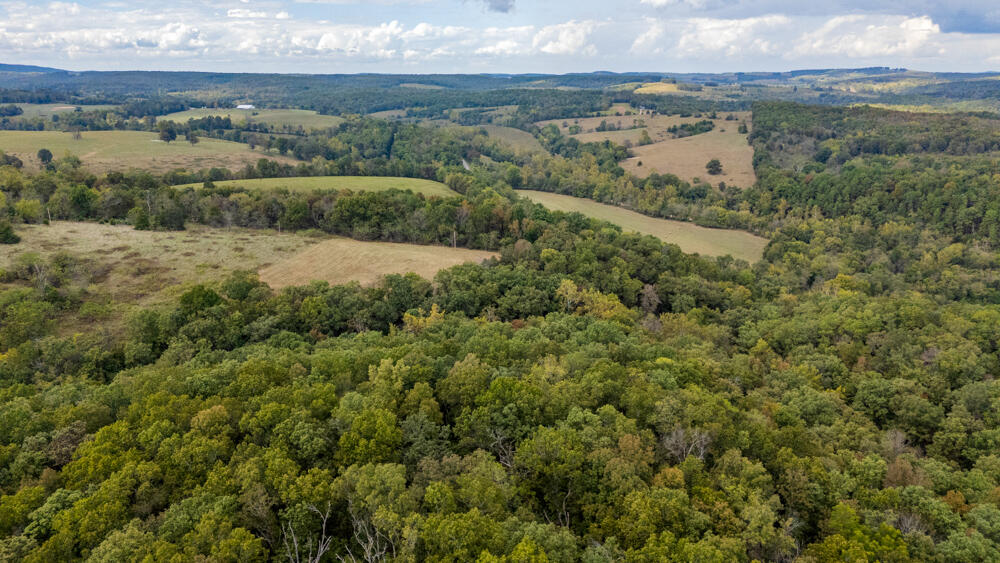 Photo 88 - Land for sale – 000  County Road 309   Gainesville, MO