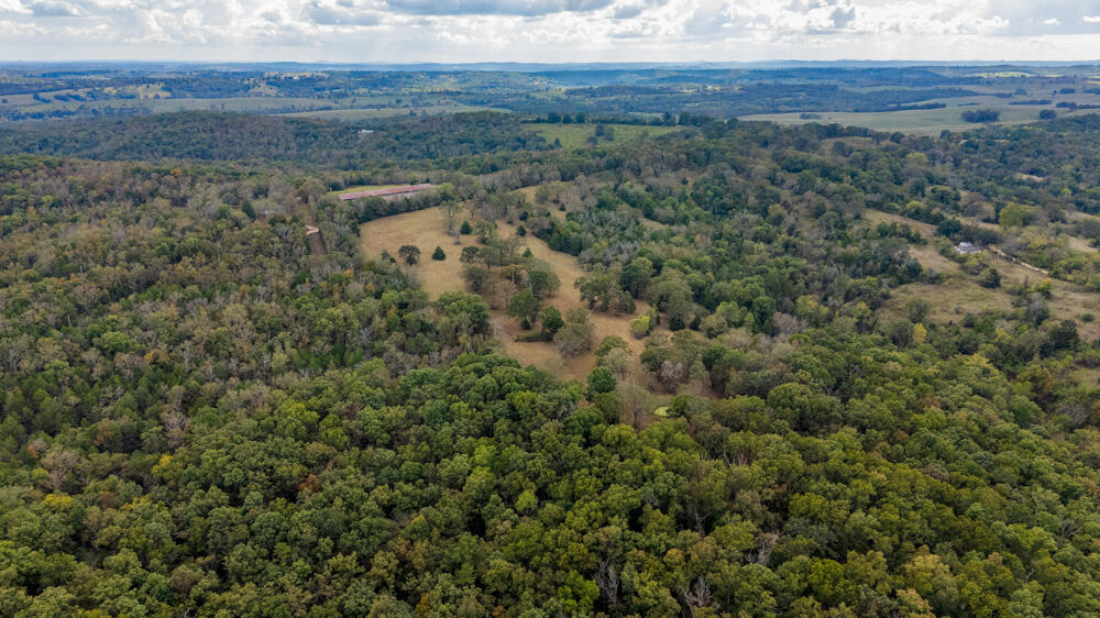 Photo 80 - Land for sale – 000  County Road 309   Gainesville, MO