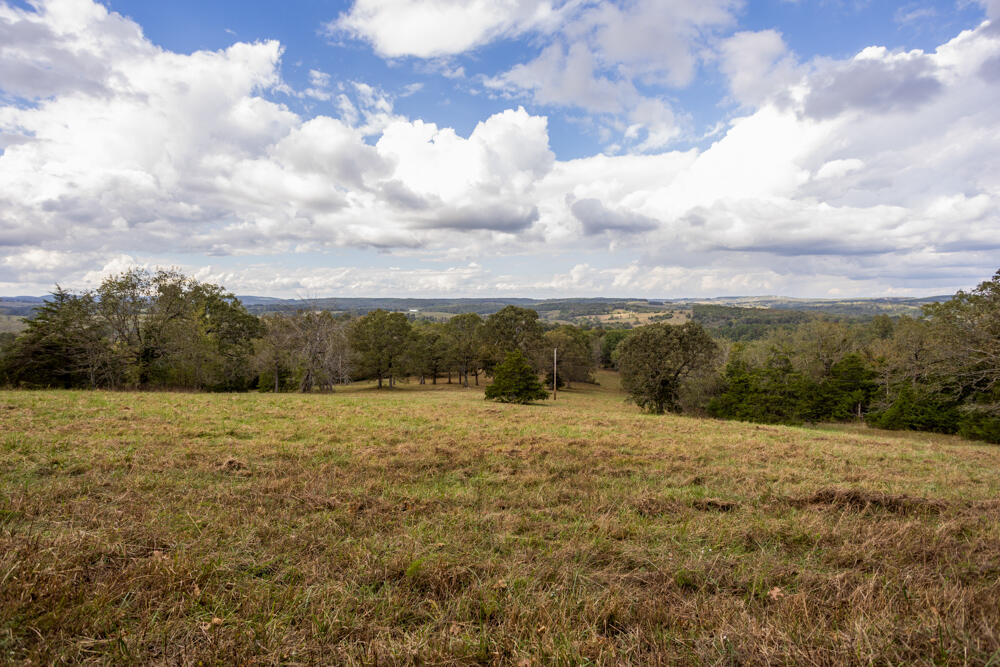 Photo 30 - Land for sale – 000  County Road 309   Gainesville, MO