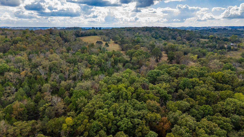 Photo 84 - Land for sale – 000  County Road 309   Gainesville, MO