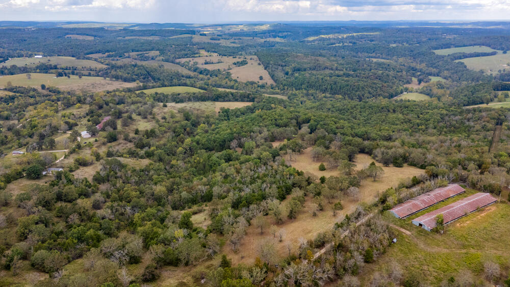 Photo 63 - Land for sale – 000  County Road 309   Gainesville, MO