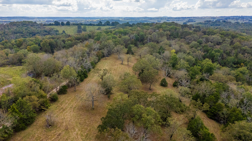 Photo 91 - Land for sale – 000  County Road 309   Gainesville, MO