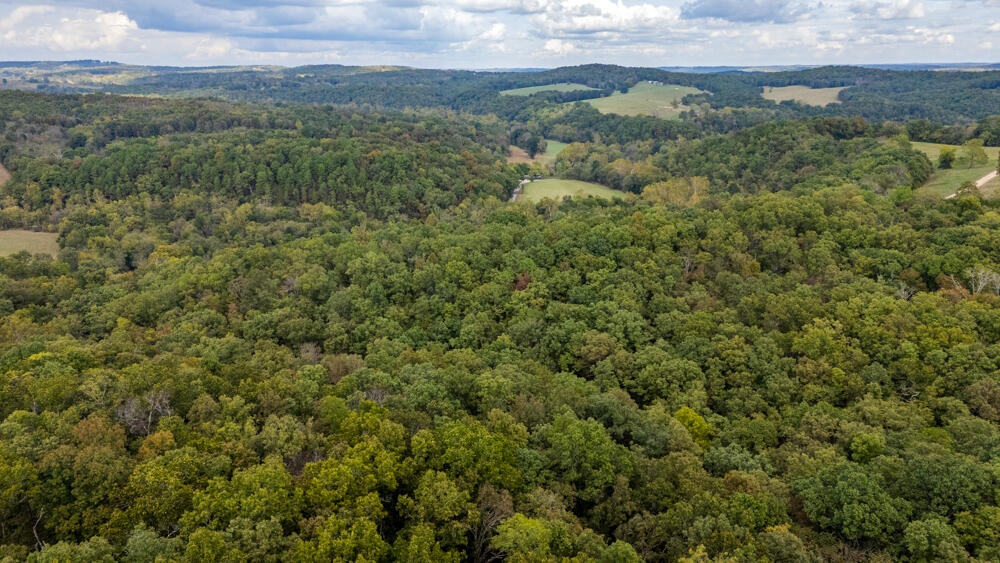 Photo 87 - Land for sale – 000  County Road 309   Gainesville, MO