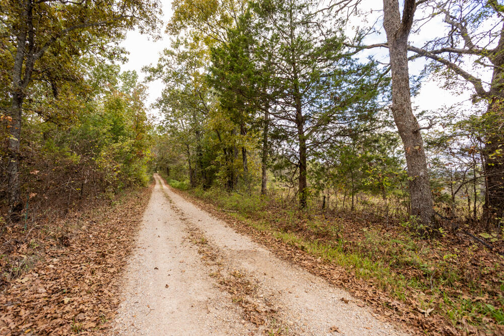 Photo 29 - Land for sale – 000  County Road 309   Gainesville, MO