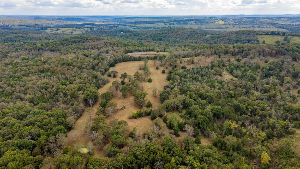 Photo 76 - Land for sale – 000  County Road 309   Gainesville, MO