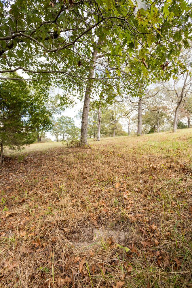 Photo 32 - Land for sale – 000  County Road 309   Gainesville, MO