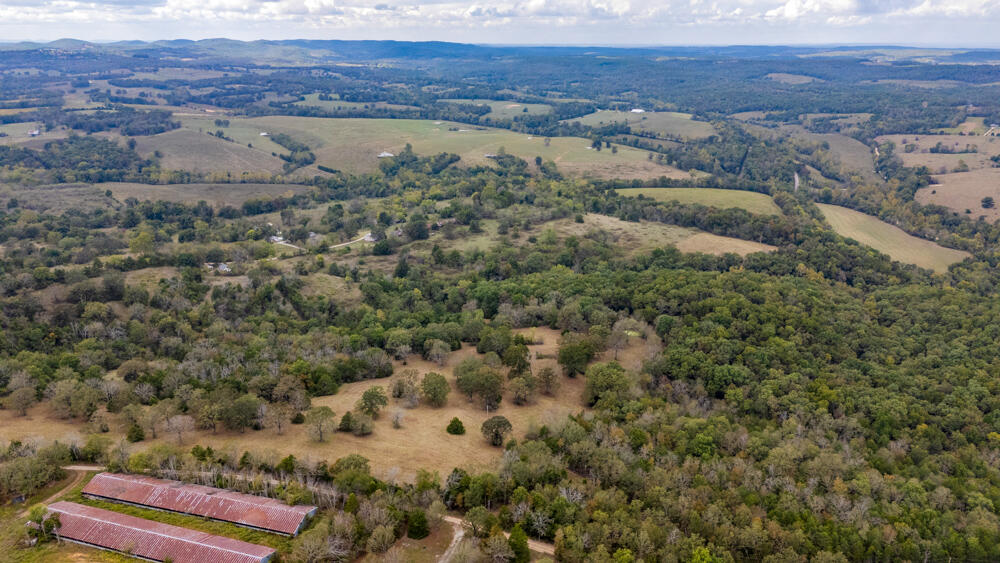 Photo 66 - Land for sale – 000  County Road 309   Gainesville, MO