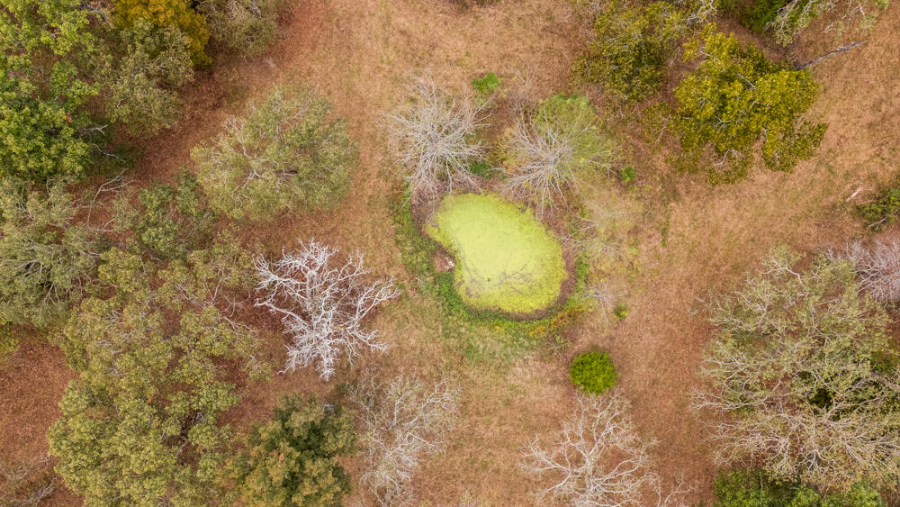 Photo 72 - Land for sale – 000  County Road 309   Gainesville, MO