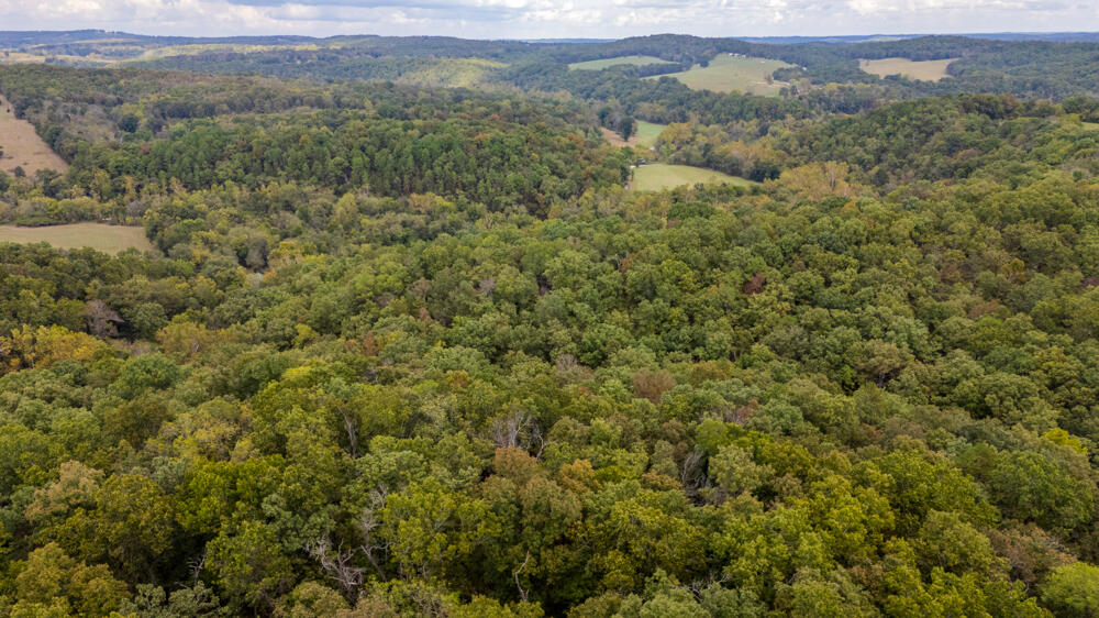 Photo 73 - Land for sale – 000  County Road 309   Gainesville, MO