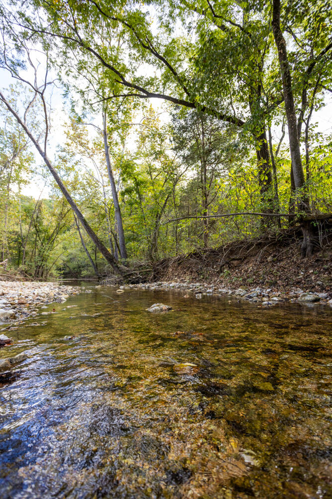 Photo 55 - Land for sale – 000  County Road 309   Gainesville, MO