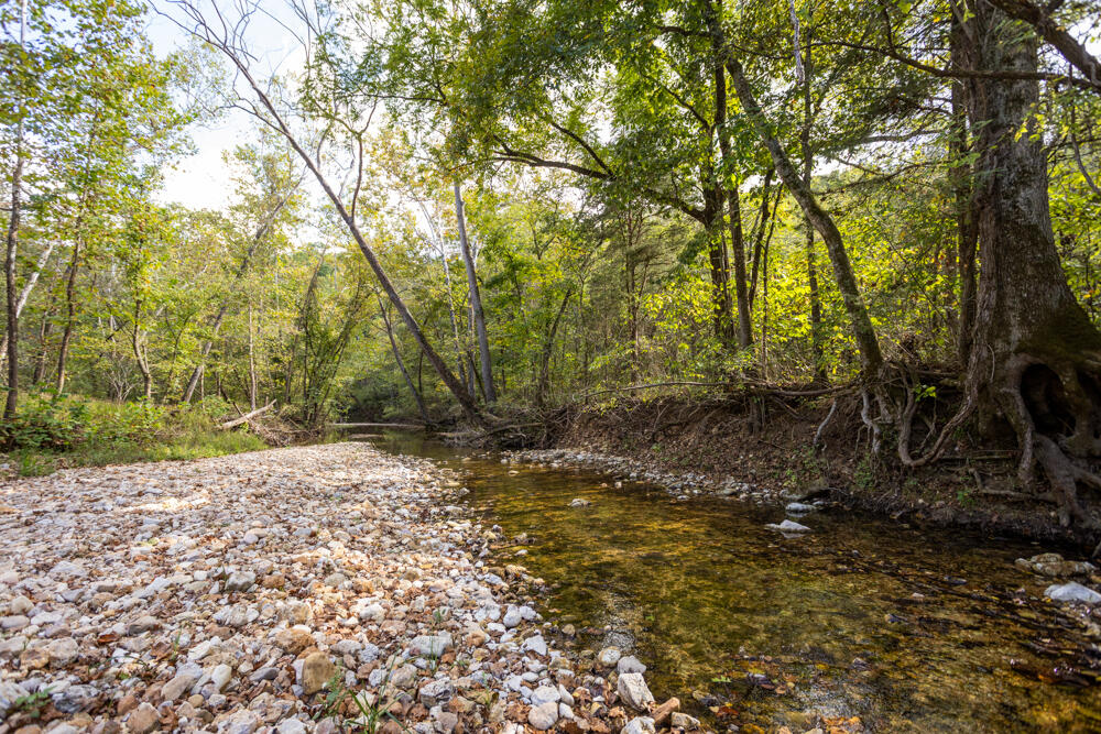 Photo 54 - Land for sale – 000  County Road 309   Gainesville, MO