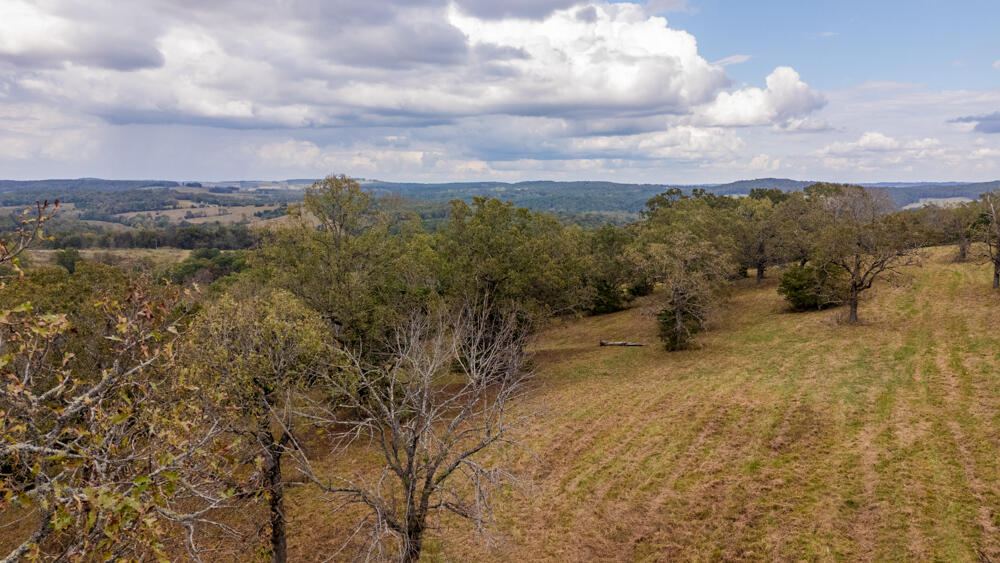 Photo 26 - Land for sale – 000  County Road 309   Gainesville, MO