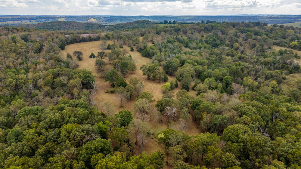 Photo 74 - Land for sale – 000  County Road 309   Gainesville, MO