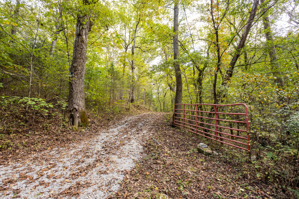 Photo 51 - Land for sale – 000  County Road 309   Gainesville, MO