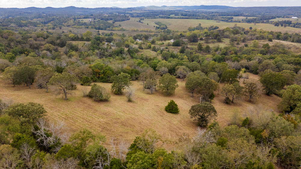 Photo 67 - Land for sale – 000  County Road 309   Gainesville, MO